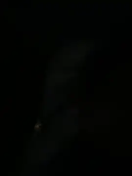 Snapshot of sofia-bae chatting on April 1, 2026, 1:30 am sofia-bae online show from April 1, 2026, 1:30 am