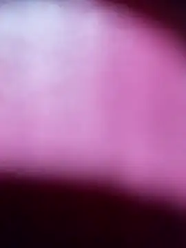 Snapshot of Myrelahot chatting on March 21, 2026, 12:34 am Myrelahot online show from March 21, 2026, 12:34 am