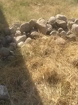 DanielGr27 online show from December 20, 2025, 7:06 pm