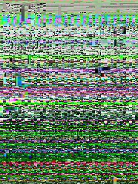 P0rco89 online show from January 8, 2026, 11:00 pm