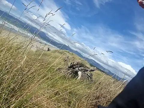 Andypie6 online show from February 8, 2026, 1:47 am