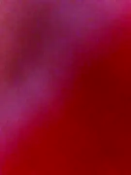 Snapshot of nosrat014 chatting on February 2, 2026, 9:41 am nosrat014 online show from February 2, 2026, 9:41 am