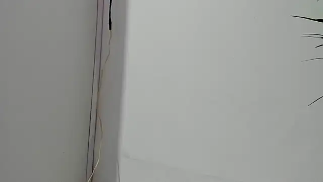 Snapshot of sebastamayo_ chatting on February 26, 2026, 5:07 am sebastamayo online show from February 26, 2026, 5:07 am