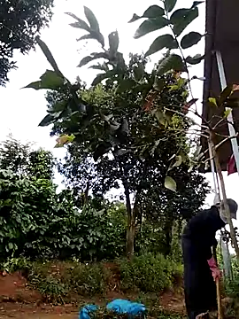 Metting88 online show from December 15, 2025, 1:22 am