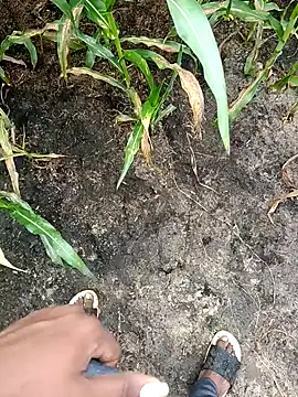 Snapshot of loki-king-143 chatting on February 24, 2026, 4:02 am loki-king-143 online show from February 24, 2026, 4:02 am