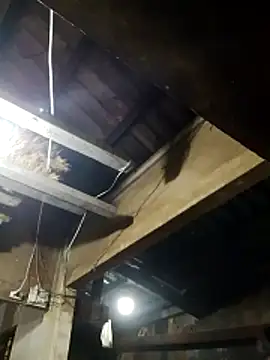 Snapshot of _CTMay_77 chatting on March 21, 2026, 12:31 pm CTMay 77 online show from March 21, 2026, 12:31 pm