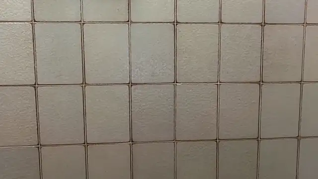 veinpill666 online show from February 11, 2026, 3:45 pm