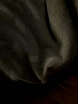 Snapshot of kb20sss chatting on December 14, 2025, 12:28 am kb20sss online show from December 14, 2025, 12:28 am