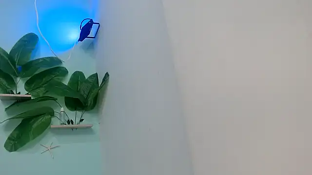 NOVAHOT98 online show from January 12, 2026, 5:53 pm