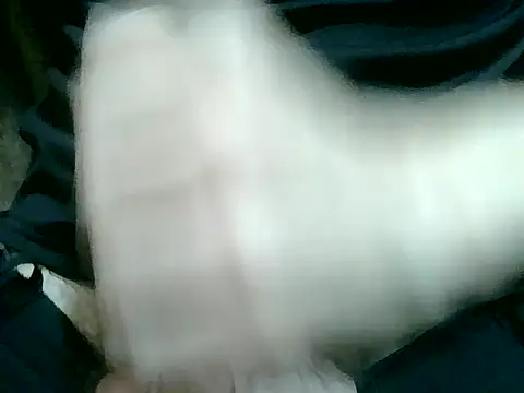 Thickpaper online show from December 14, 2025, 9:26 am