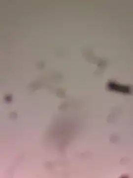 Snapshot of M8ygcthf3 chatting on March 22, 2026, 6:48 am M8ygcthf3 online show from March 22, 2026, 6:48 am