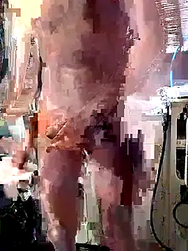 Quebec46 online show from February 28, 2026, 8:14 am