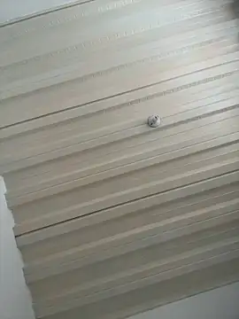 Paamelha online show from December 15, 2025, 4:35 pm