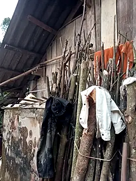 Girl cutee online show from March 20, 2026, 10:38 am