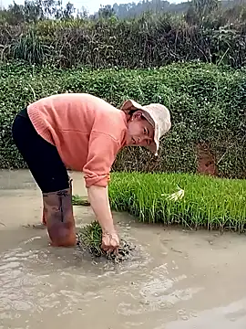 Girl cutee online show from March 16, 2026, 6:39 am