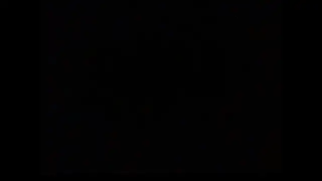 black shanu5 online show from May 9, 2026, 9:45 am