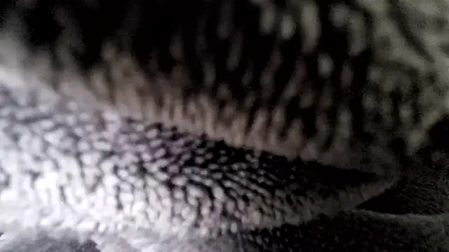 Saarboy90 online show from December 16, 2025, 12:53 pm