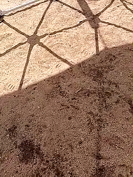 Snapshot of LaicyBrown76 chatting on March 7, 2026, 8:32 am LaicyBrown76 online show from March 7, 2026, 8:32 am