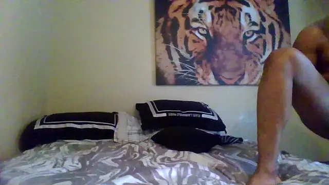 Snapshot of KingDes55 chatting on March 11, 2026, 2:44 pm KingDes55 online show from March 11, 2026, 2:44 pm