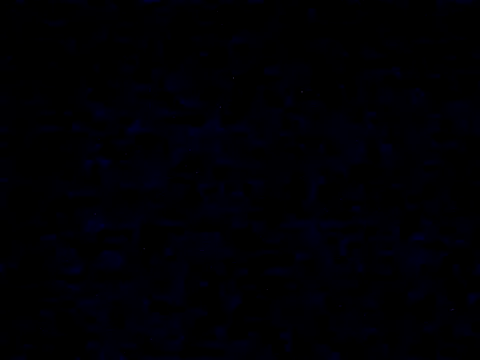 danylush online show from December 20, 2025, 12:30 pm