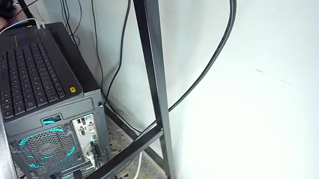 Dante Bellini online show from January 9, 2026, 1:18 pm