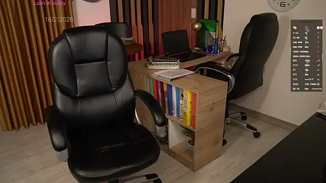 Snapshot of secretary_bj chatting on February 16, 2026, 3:16 am secretary bj online show from February 16, 2026, 3:16 am