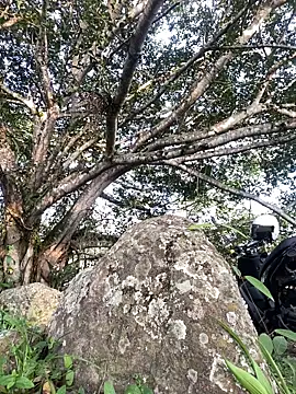 Snapshot of Maicol_xxxx chatting on March 5, 2026, 10:27 pm Maicol xxxx online show from March 5, 2026, 10:27 pm