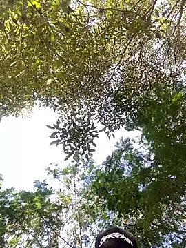 Snapshot of Maicol_xxxx chatting on March 14, 2026, 9:43 pm Maicol xxxx online show from March 14, 2026, 9:43 pm