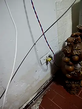 thobaby99 online show from January 9, 2026, 7:48 am