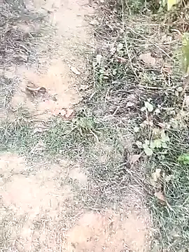 Sheela Sex90 online show from April 15, 2026, 11:59 am