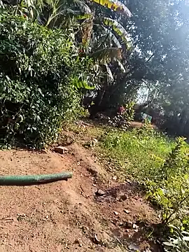 janbi sexe online show from January 14, 2026, 5:44 am