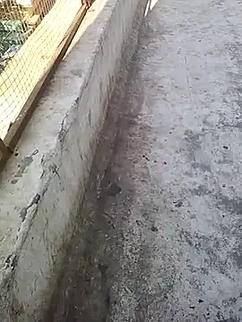 Snapshot of hornycouple20000 chatting on March 7, 2026, 4:19 am hornycouple20000 online show from March 7, 2026, 4:19 am