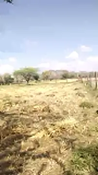 Snapshot of hornycouple20000 chatting on March 20, 2026, 5:08 am hornycouple20000 online show from March 20, 2026, 5:08 am