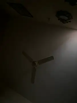 Snapshot of hairyboypenis chatting on March 19, 2026, 6:46 am hairyboypenis online show from March 19, 2026, 6:46 am