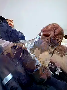 omeler online show from February 5, 2026, 11:44 pm