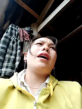 vanvan005 online show from January 19, 2026, 6:06 am