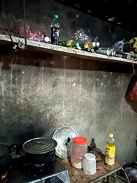 vanvan005 online show from March 11, 2026, 4:39 am