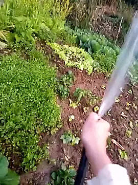 Happy sweet1 online show from January 18, 2026, 10:51 am