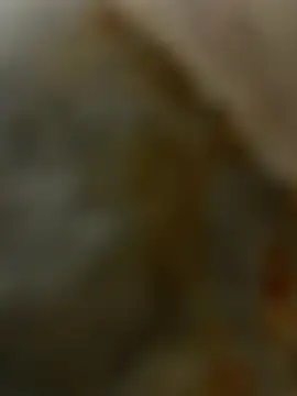 Snapshot of zxcvgf12300 chatting on May 8, 2026, 11:41 pm zxcvgf12300 online show from May 8, 2026, 11:41 pm
