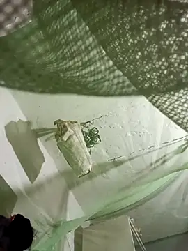 Jan 692 online show from February 17, 2026, 2:58 pm