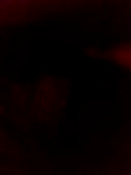 Ljijli online show from February 28, 2026, 11:37 pm