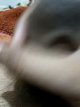 Snapshot of _chota_bunny_ chatting on February 9, 2026, 8:18 pm chota bunny online show from February 9, 2026, 8:18 pm