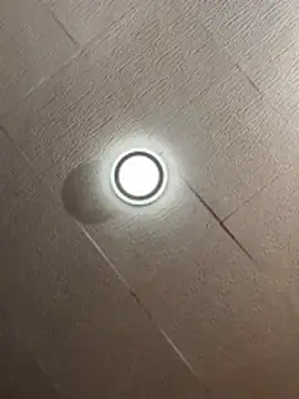 Snapshot of Evelin199 chatting on March 9, 2026, 3:59 pm Evelin199 online show from March 9, 2026, 3:59 pm