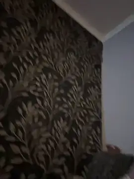 Snapshot of Evelin199 chatting on February 14, 2026, 4:51 pm Evelin199 online show from February 14, 2026, 4:51 pm