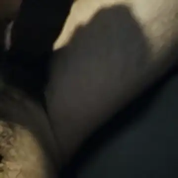 AnonymousTwinkie online show from March 27, 2026, 2:07 pm