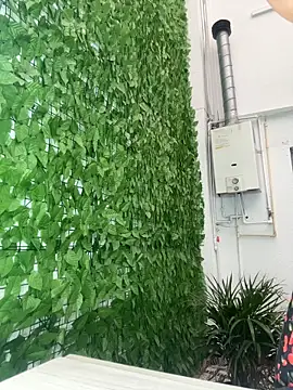  Queen love2 online show from February 12, 2026, 9:03 pm