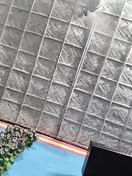 Desi Nil pori online show from February 21, 2026, 5:37 pm