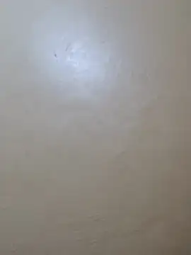 TRACYTOTO26 online show from February 17, 2026, 3:59 am