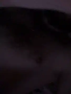 Di717 online show from March 23, 2026, 9:25 pm