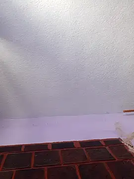 Fortuna-555 online show from February 1, 2026, 10:24 am